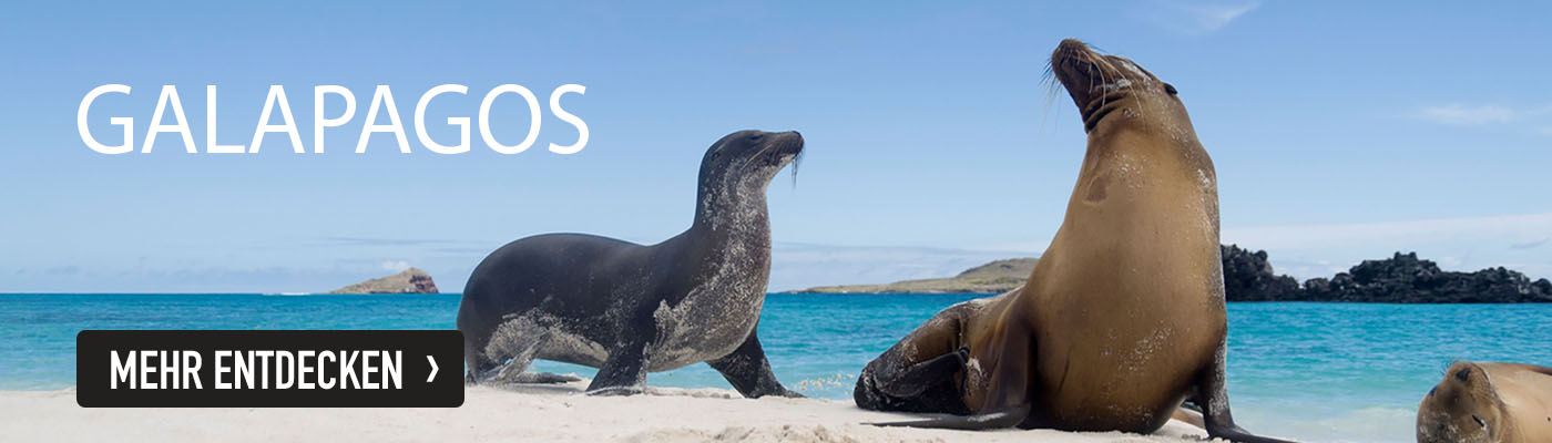 Galapagos