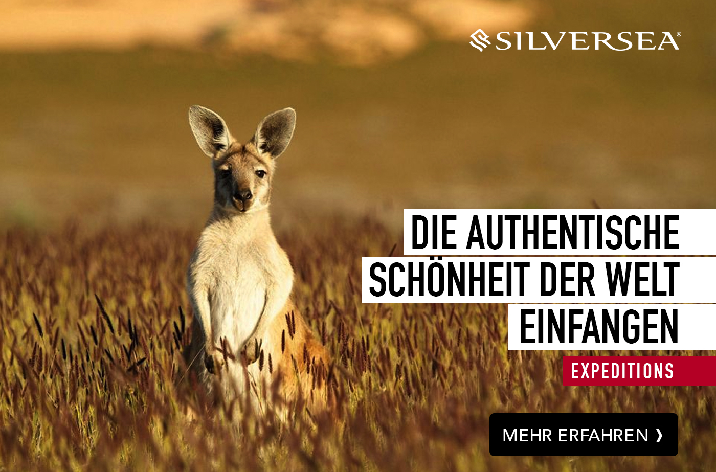 Silversea Australien Neuseeland