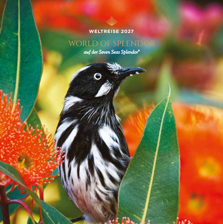 Bunter Vogel World Cruise